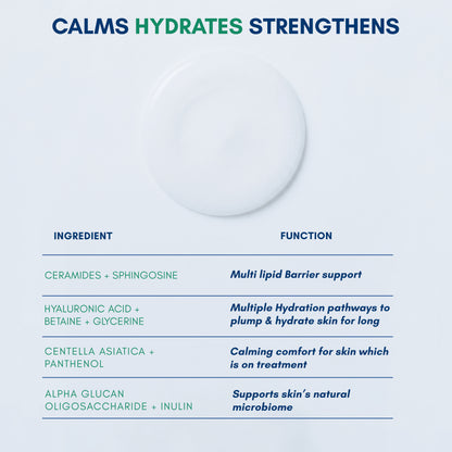 Becalm Barrier Repair Oil-Free Moisturizer